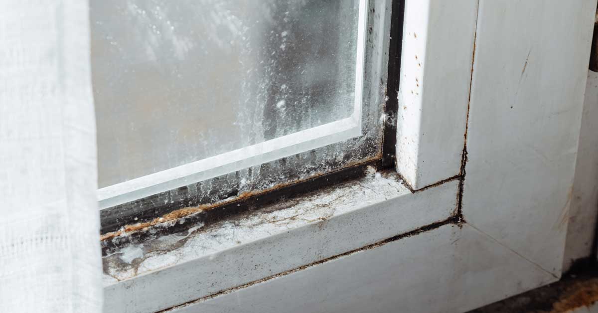 Rotten windows